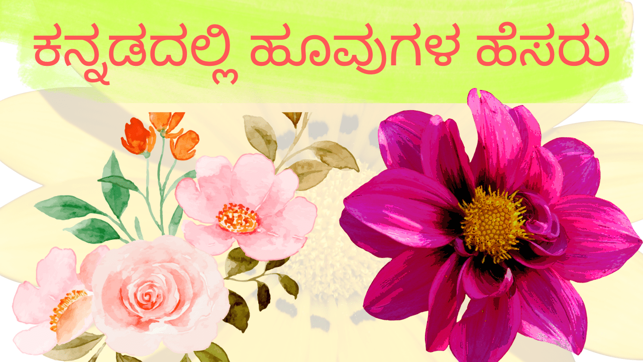 Flowers name in Kannada – ಕನ್ನಡದಲ್ಲಿ ಹೂವುಗಳ ಹೆಸರು